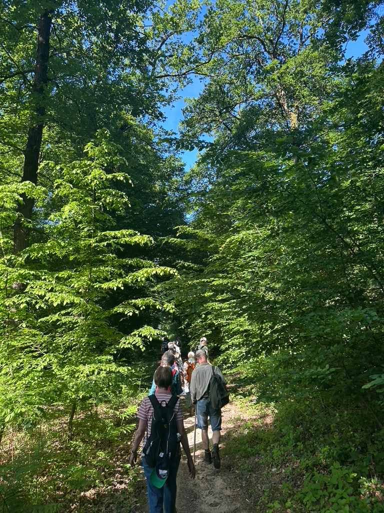 Pfingstwanderung26_Wandergruppe (c) M.L.
