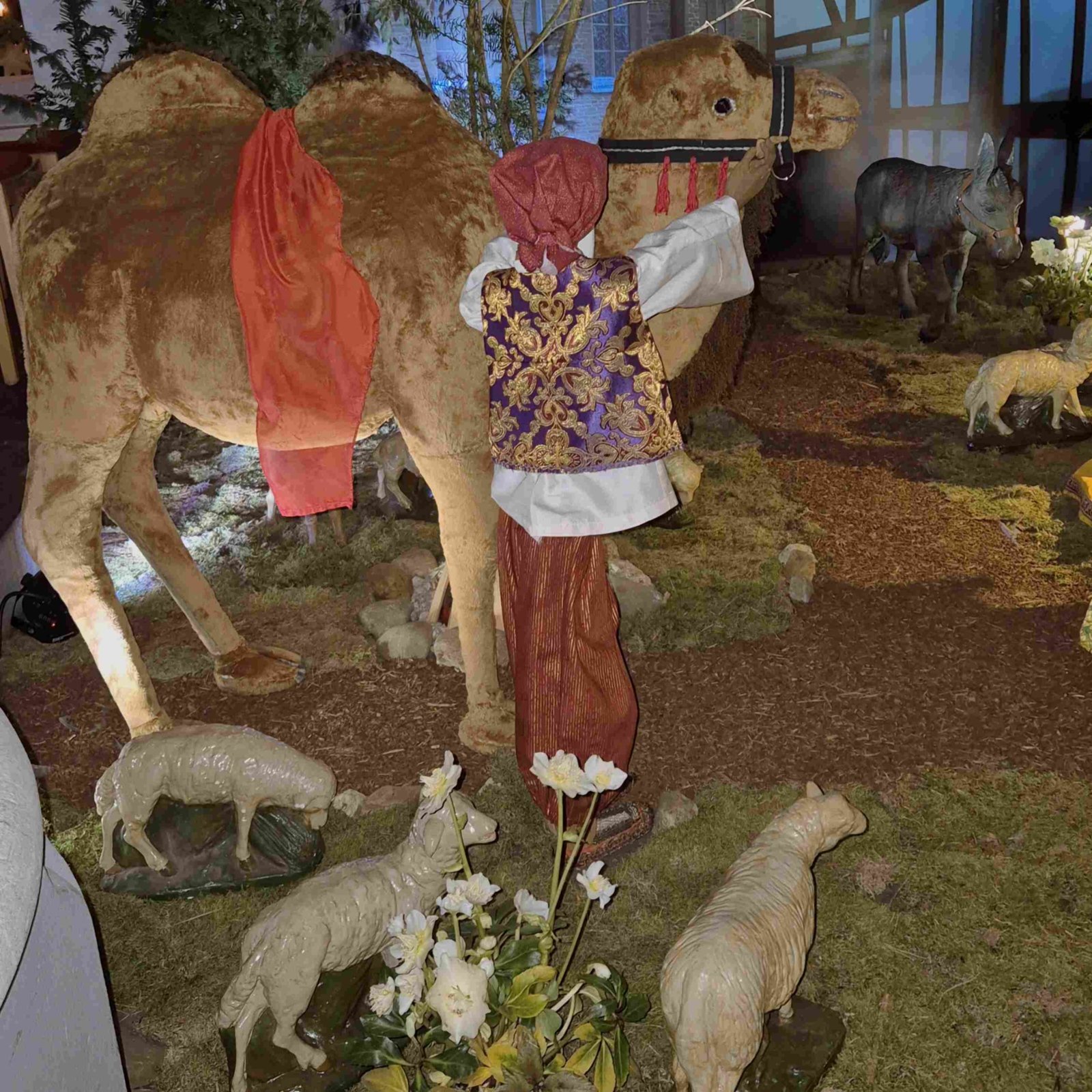 2025_26 Krippe SuJ_Kamel (c) privat