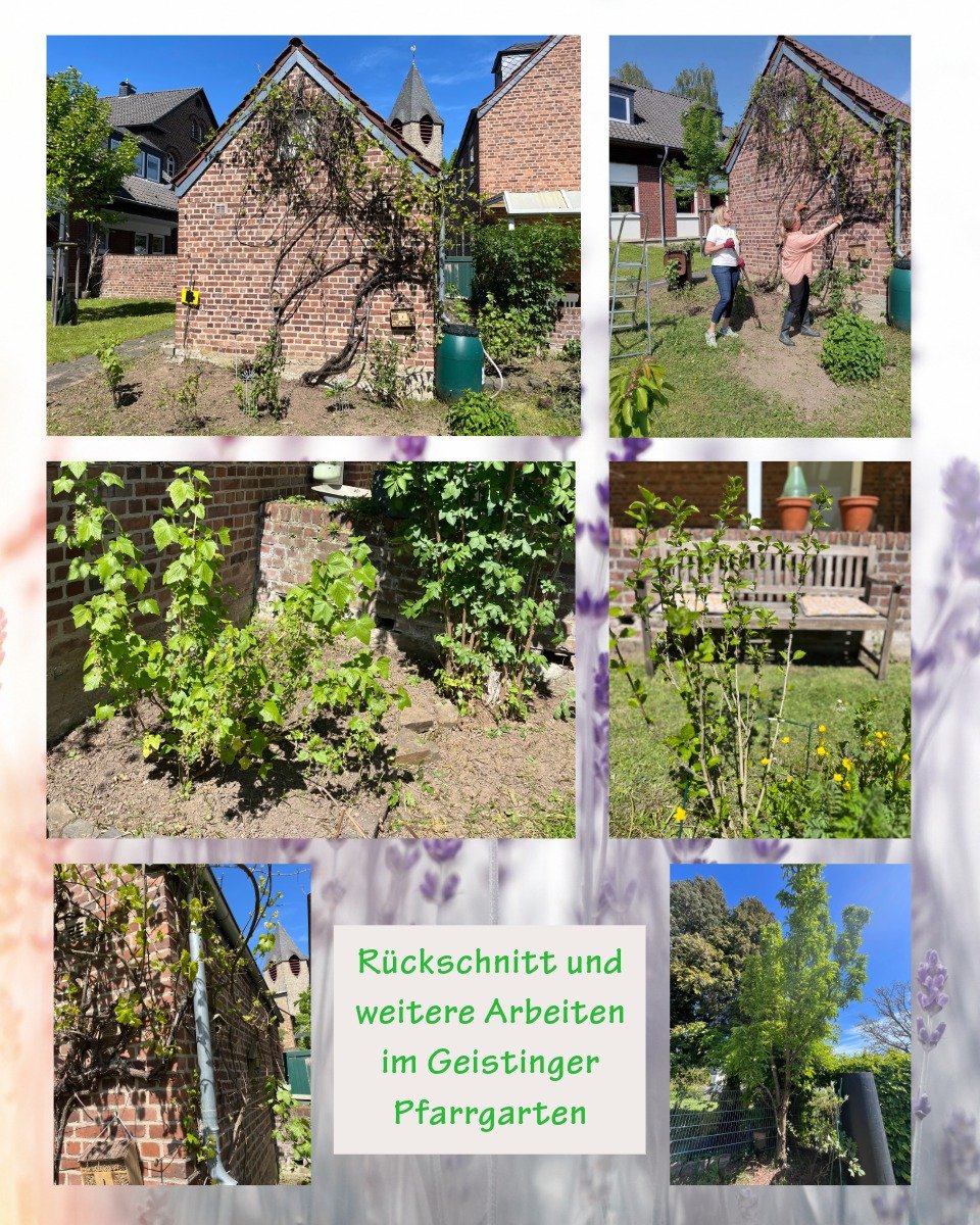 2026-05 Rückschnitt Garten Geistingen (c) Sabine Montag