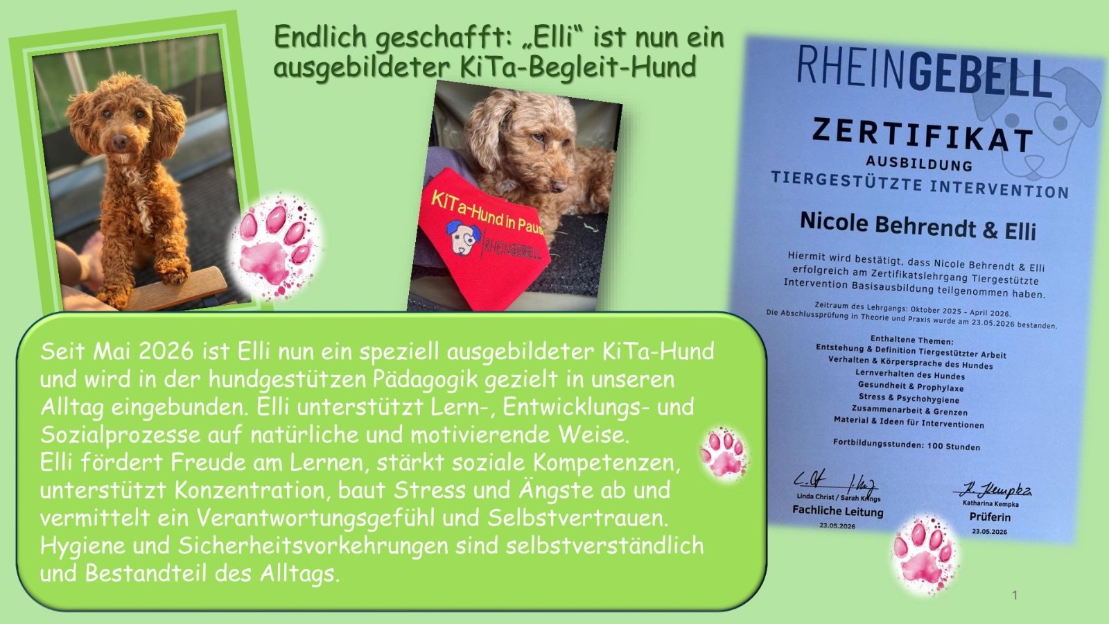 Endlich KiTa-Hund-Begleit-Team