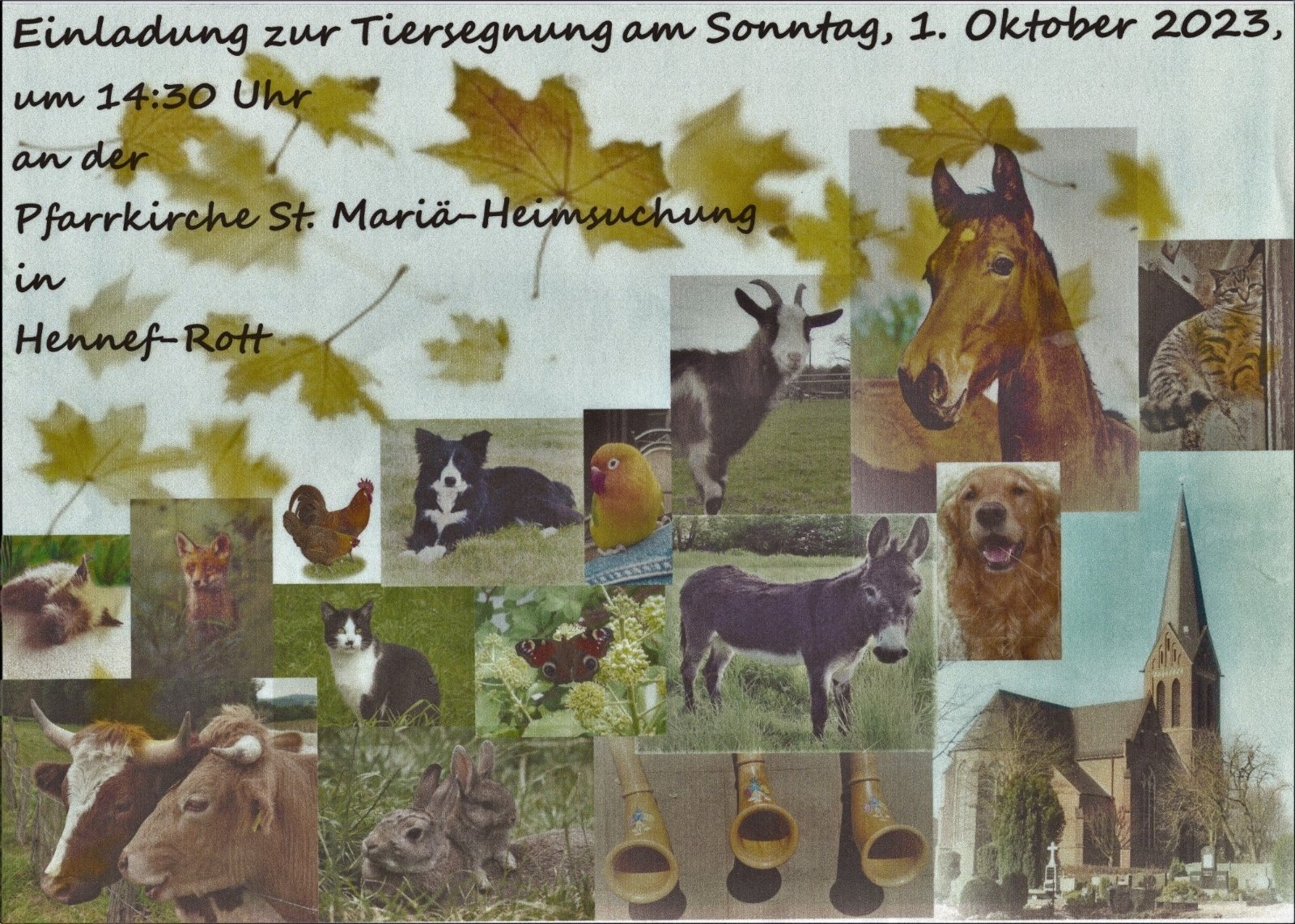 Plakat Tiersegnung 2023 (c) D.Rottner